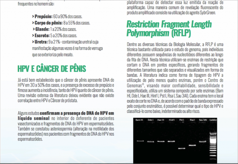 hpv efeitos 3