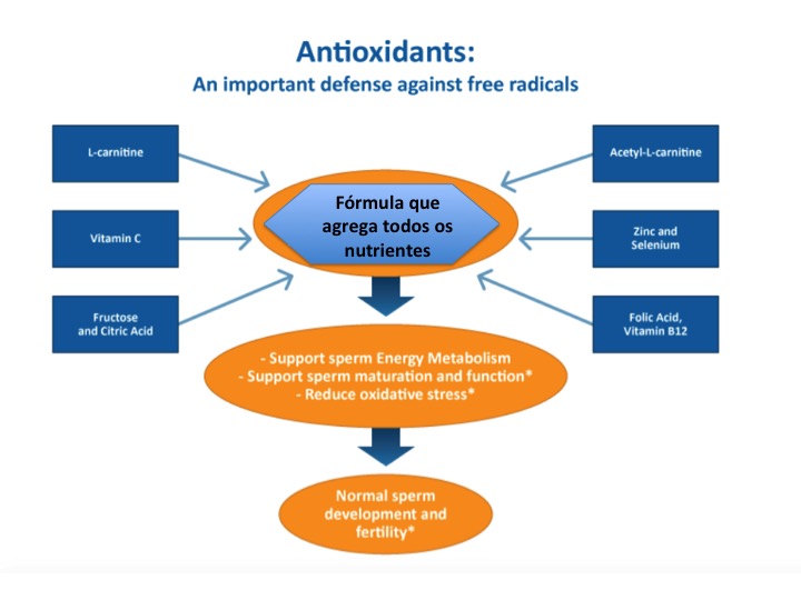 suplementos fertilidade 1